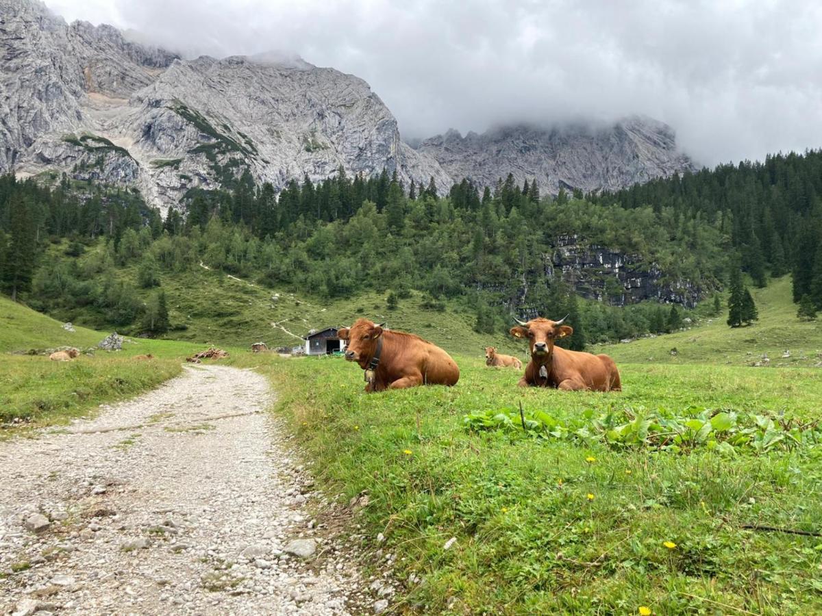 Haus Niklos - Wank Grainau Esterno foto